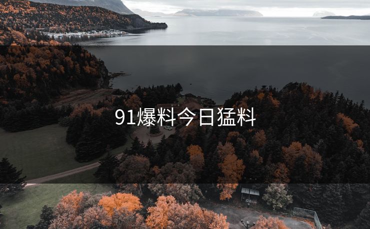91爆料今日猛料 91爆料今日猛料
