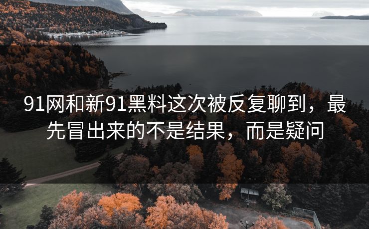 91网和新91黑料这次被反复聊到,最先冒出来的不是结果,而是疑问 91网和新91黑料这次被反复聊到,最先冒出来的不是结果,而是疑问