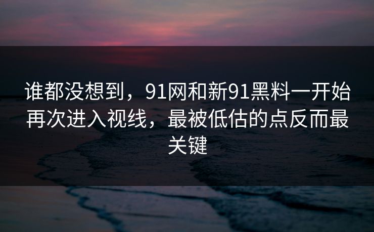 谁都没想到,91网和新91黑料一开始再次进入视线,最被低估的点反而最关键 谁都没想到,91网和新91黑料一开始再次进入视线,最被低估的点反而最关键