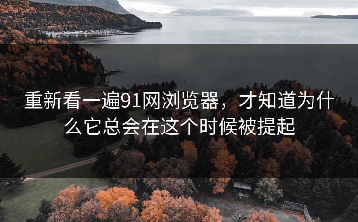 重新看一遍91网浏览器,才知道为什么它总会在这个时候被提起 重新看一遍91网浏览器,才知道为什么它总会在这个时候被提起
