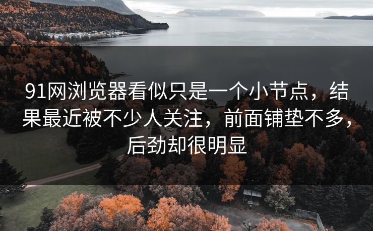 91网浏览器看似只是一个小节点,结果最近被不少人关注,前面铺垫不多,后劲却很明显 91网浏览器看似只是一个小节点,结果最近被不少人关注,前面铺垫不多,后劲却很明显