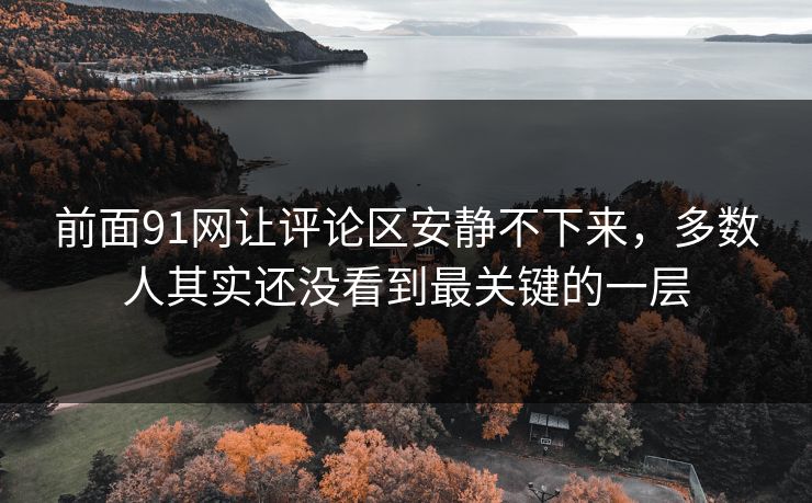 前面91网让评论区安静不下来,多数人其实还没看到最关键的一层 前面91网让评论区安静不下来,多数人其实还没看到最关键的一层