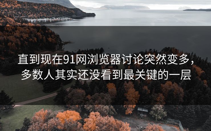 直到现在91网浏览器讨论突然变多，多数人其实还没看到最关键的一层
