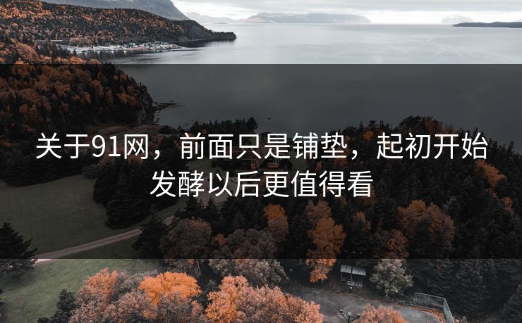 关于91网,前面只是铺垫,起初开始发酵以后更值得看 关于91网,前面只是铺垫,起初开始发酵以后更值得看
